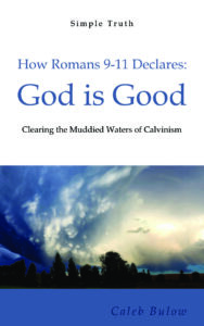 Romans 9-11 book cocver